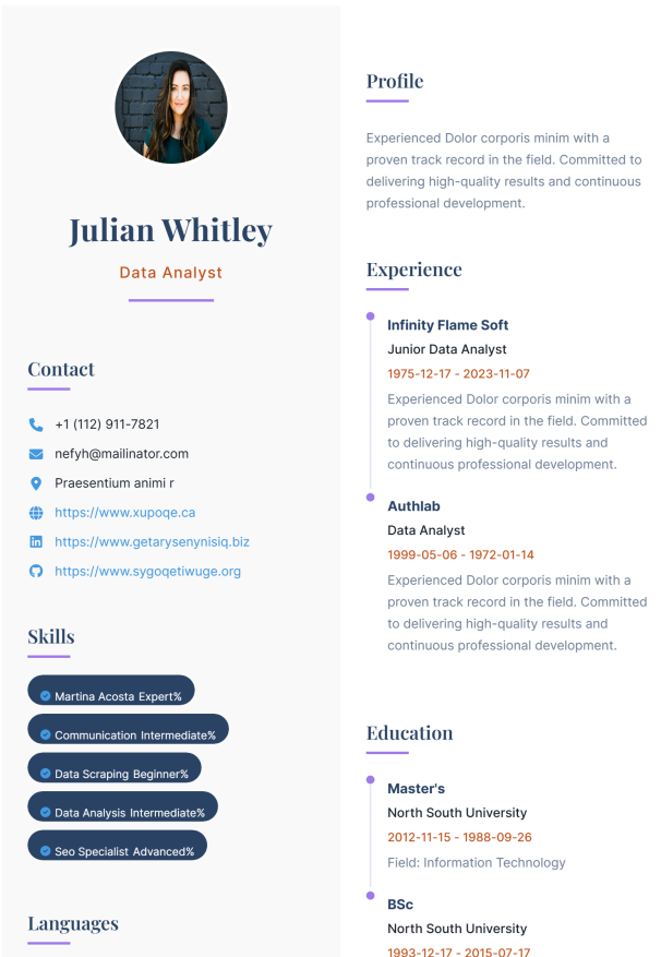 Resume Template Preview