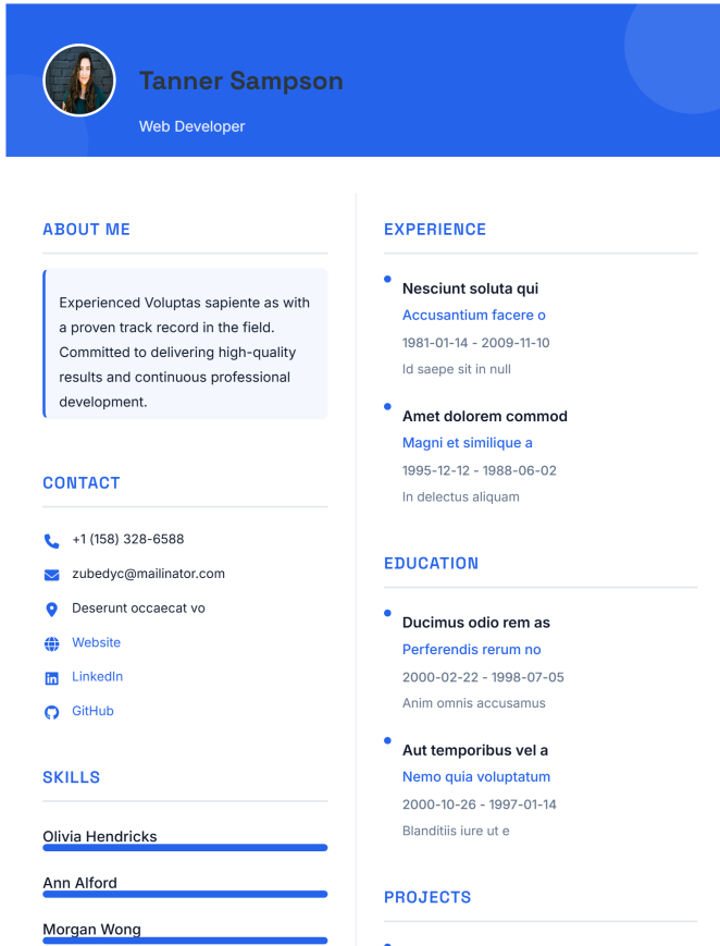 Resume Template Preview
